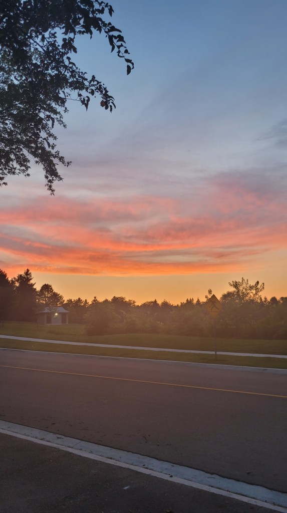 Beautiful sunset painting the entire picture in an intimate shade of pink as the camera overlooks a park where the setting sun tints the cloud orange.