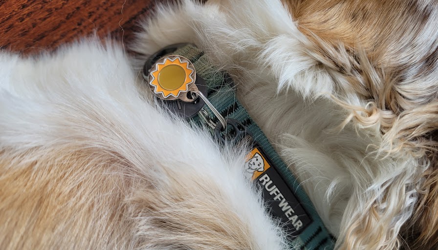 The Other Side of The Puppy Blues & Reactivity